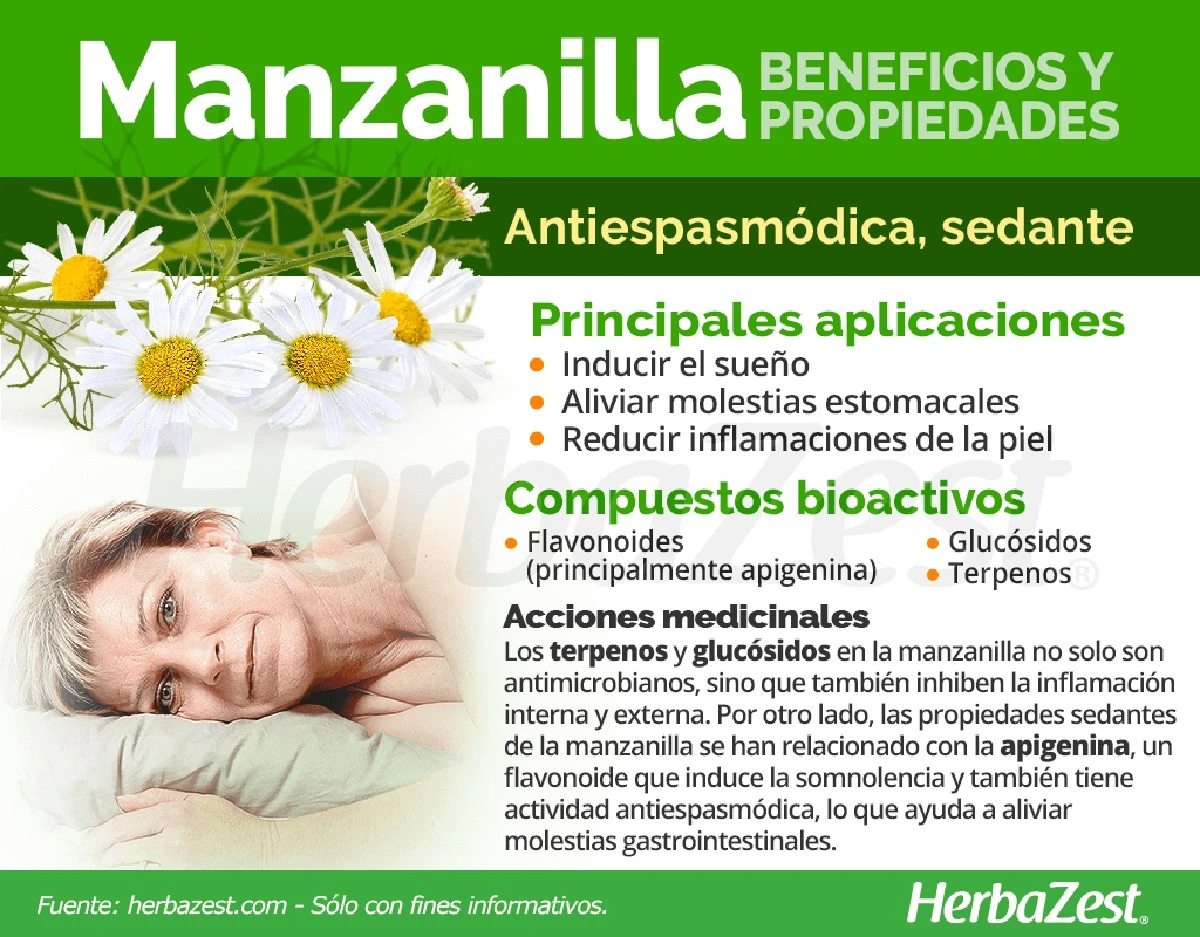Un sorbo de manzanilla al día: la clave oculta para dormir profundo que los expertos no te cuentan - image 1