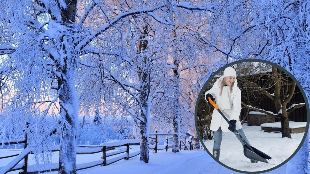 Por qué los jardineros experimentados no quitan la nieve de sus bancales: el resultado en primavera lo dice todo