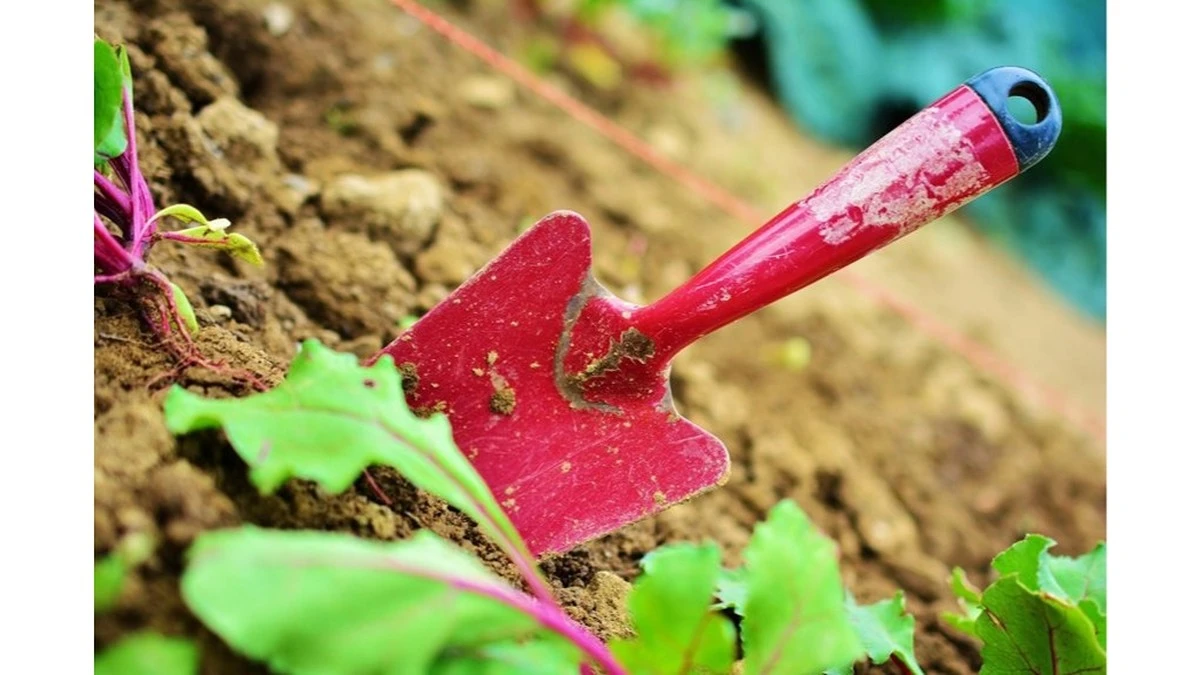 20 Años Cavando Mi Huerto Sin Este Compuesto: El Agrónomo Me Enseñó Dónde Me Equivoqué