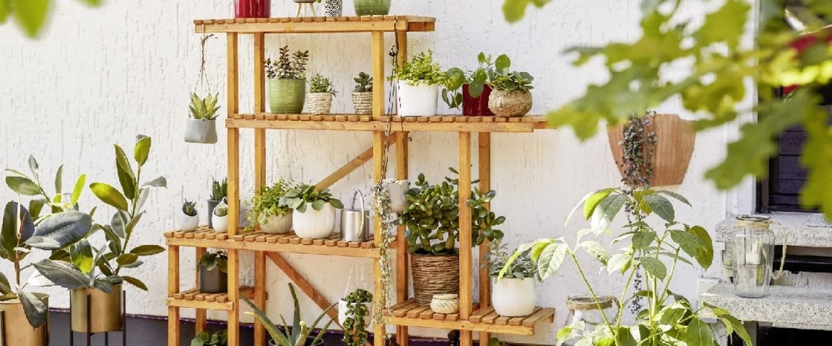 tía Zita me enseñó a hacer una estructura mágica: ahorro cientos de euros en herramientas de jardín - image 1