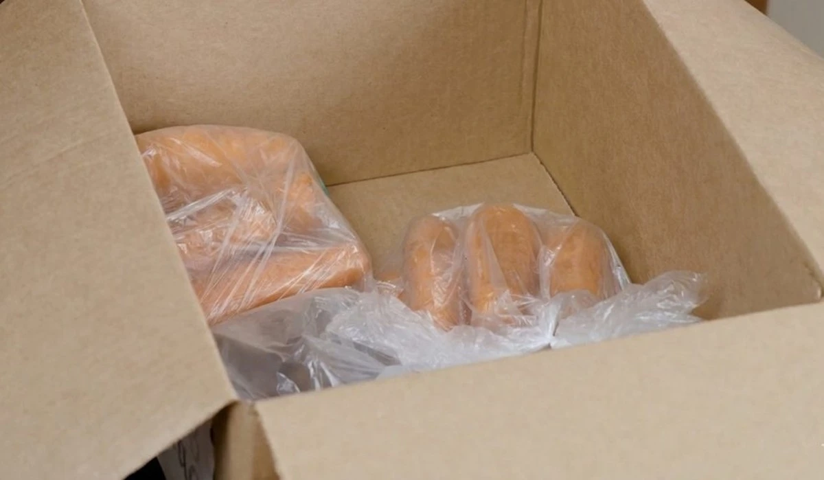 Convierte tu balcón en un almacén de verduras "termo" con cajas de envío recicladas: cosecha 100% garantizada