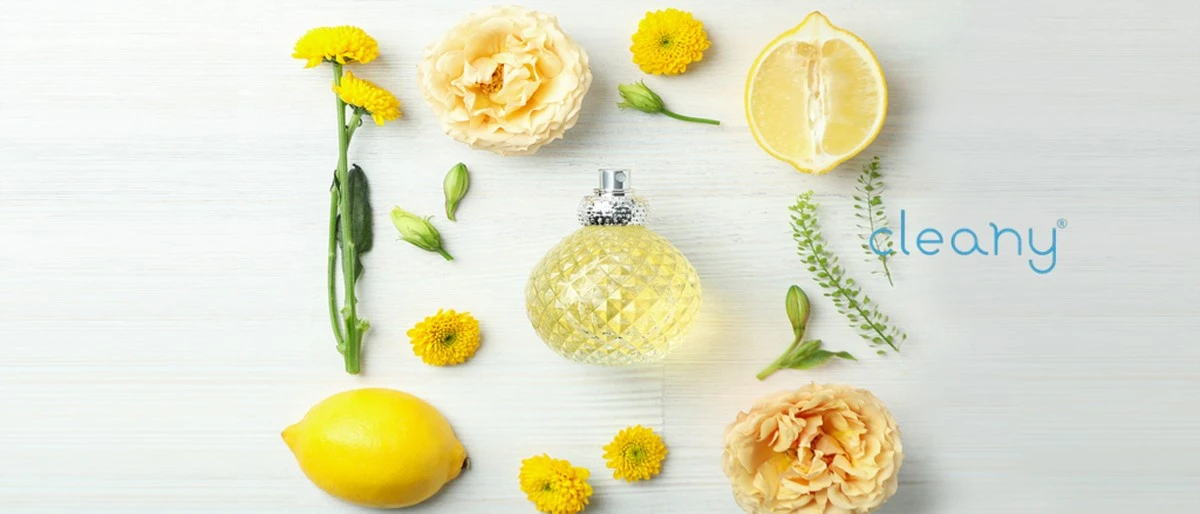 10 clavos en un limón: un truco casero que perfuma tu hogar y ahuyenta insectos - image 1