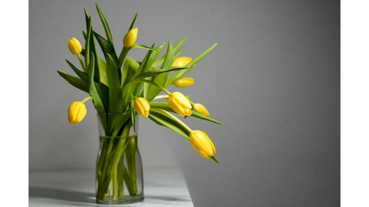 El truco infalible para que tus tulipanes duren semanas en el jarrón