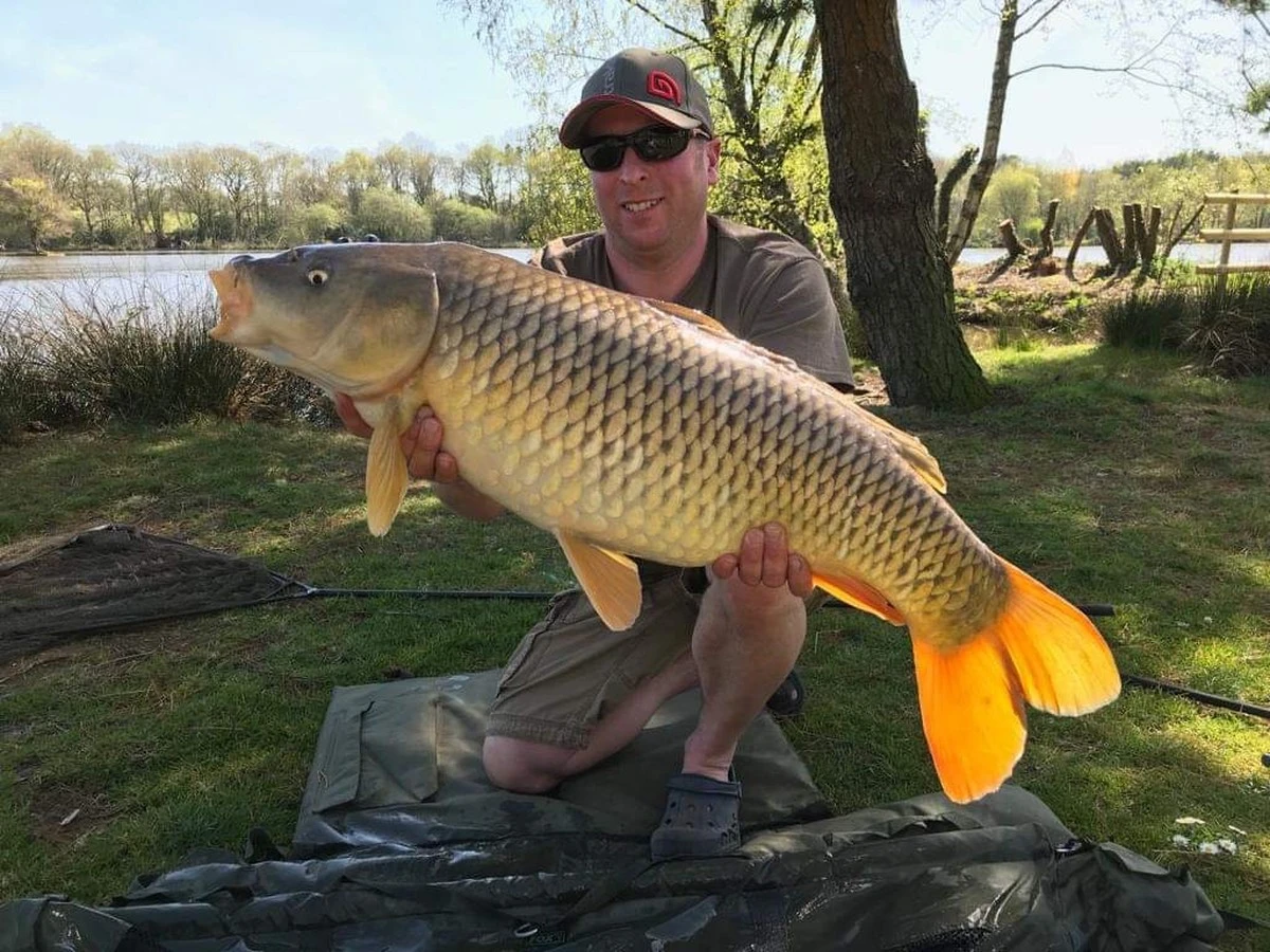 elsecretodelaca-extra-1.webp El secreto de la carpa dorada: por qué los pescadores experimentados la devuelven al agua - image 1