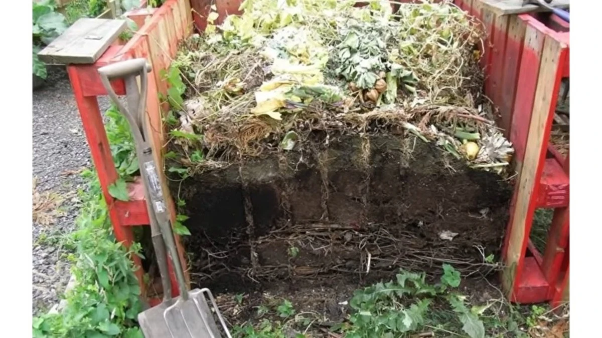 Por qué los jardineros experimentados siempre añaden cáscaras de huevo a su compost