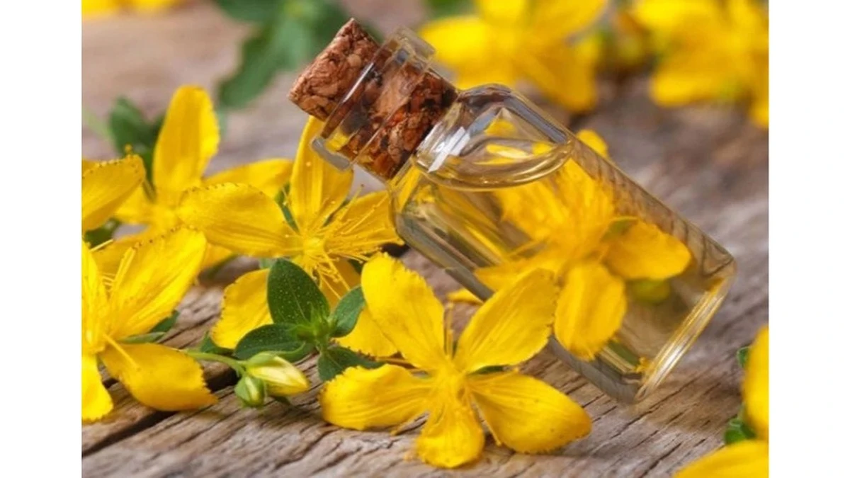 Aceite casero: 1 ingrediente, 10 alivios para más de 10 dolencias comunes