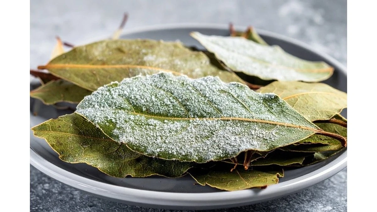 Intensifica el Sabor de tus Guisos: El Truco Infalible con Hojas de Laurel Congeladas