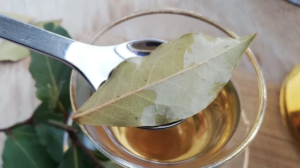 Por qué algunas personas añaden dos hojas de laurel y limón a su taza de agua caliente