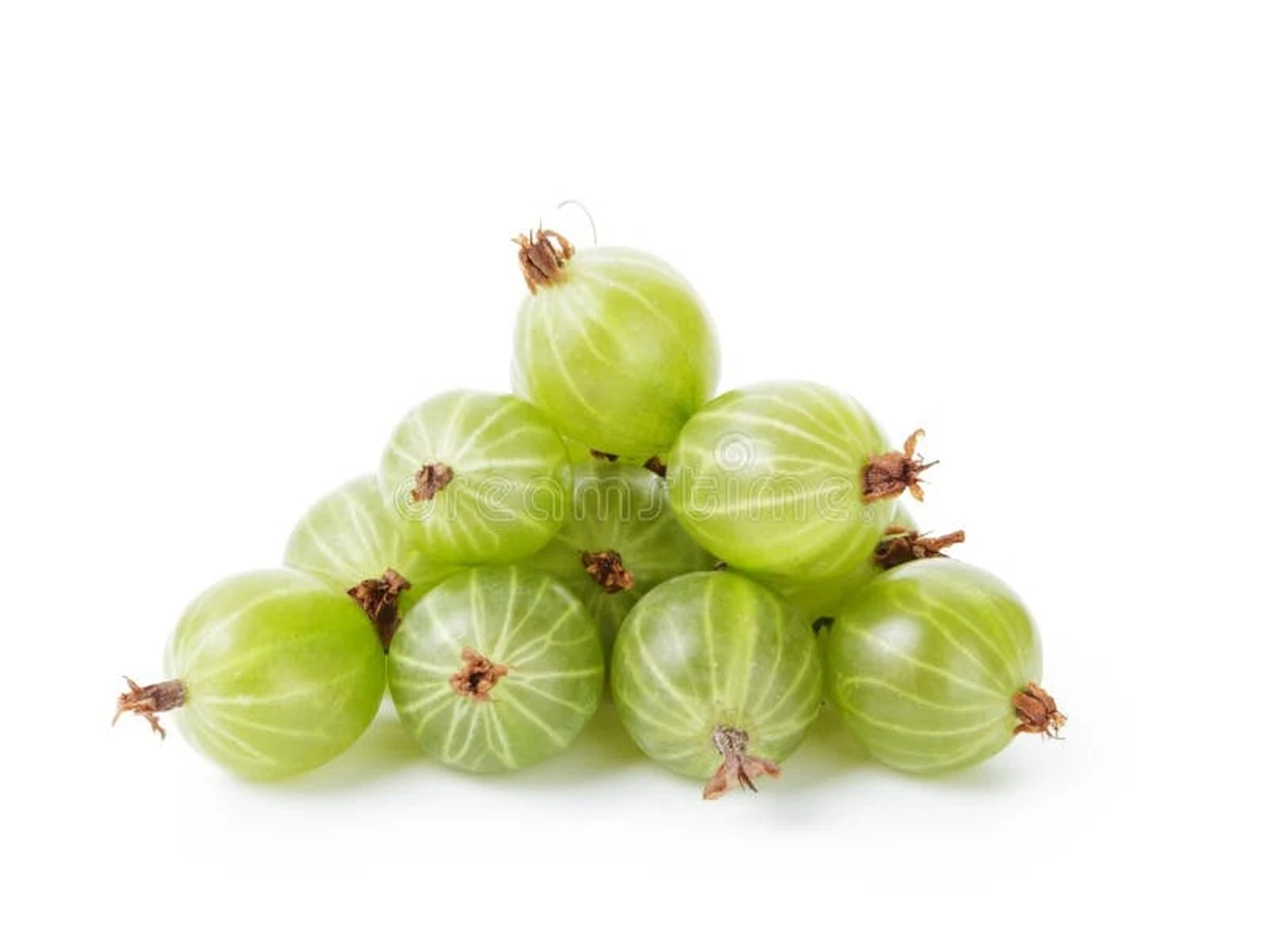 porquetusgrosel-extra-1.webp Por qué tus grosellas y espinos pierden los frutos antes de tiempo y cómo evitarlo - image 1
