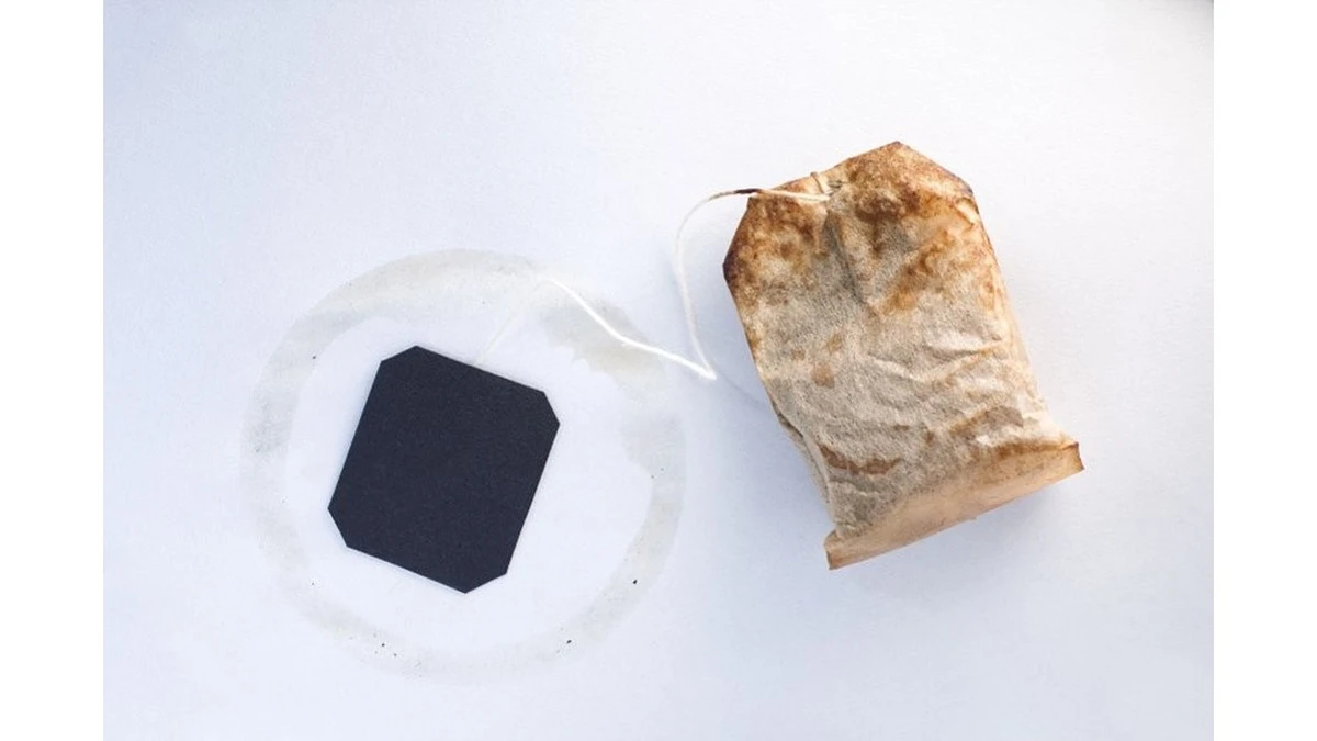 Por qué los expertos en limpieza guardan restos de té negro junto a la ventana