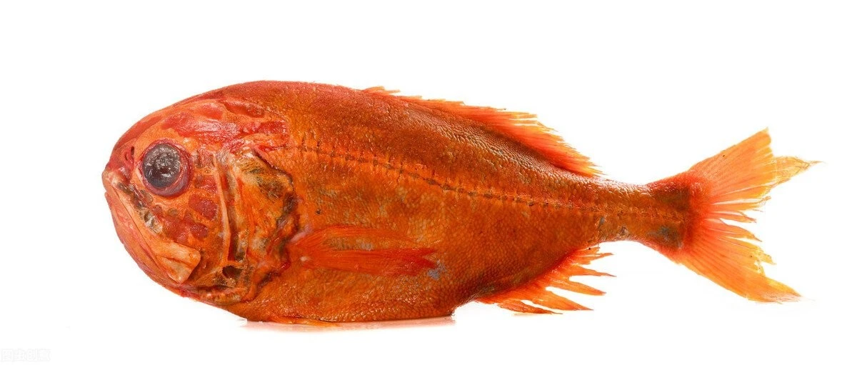 El secreto de la longevidad japonesa: las 5 especies de pescado que te harán vivir hasta los 100 - image 1