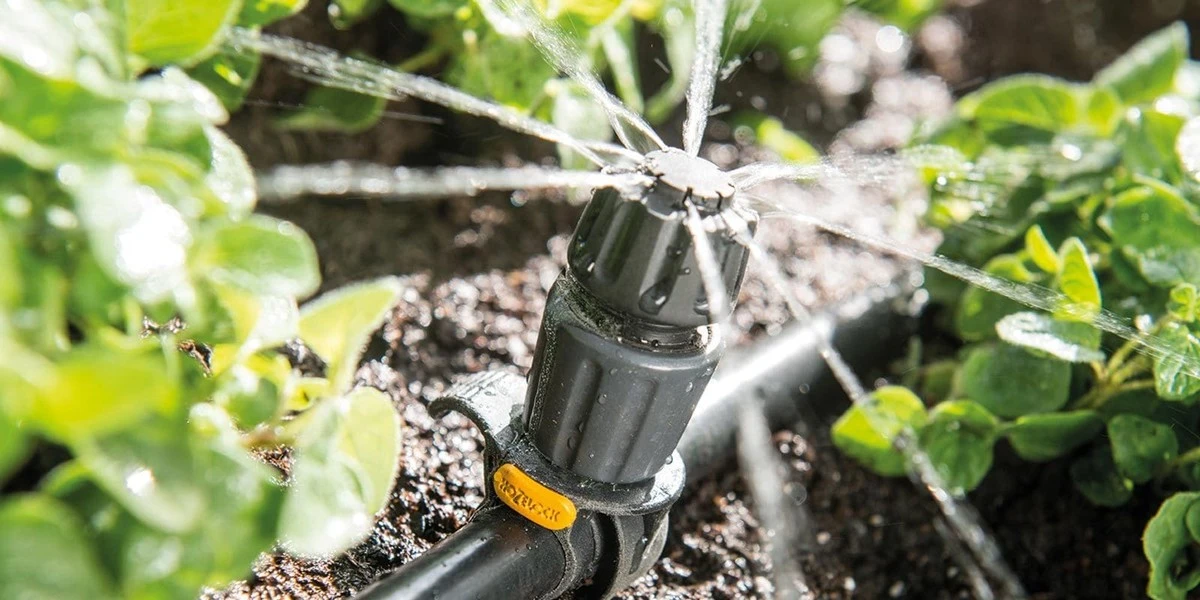 La solución casera para plantas con medias viejas: riegos automáticos sin gastar - image 1