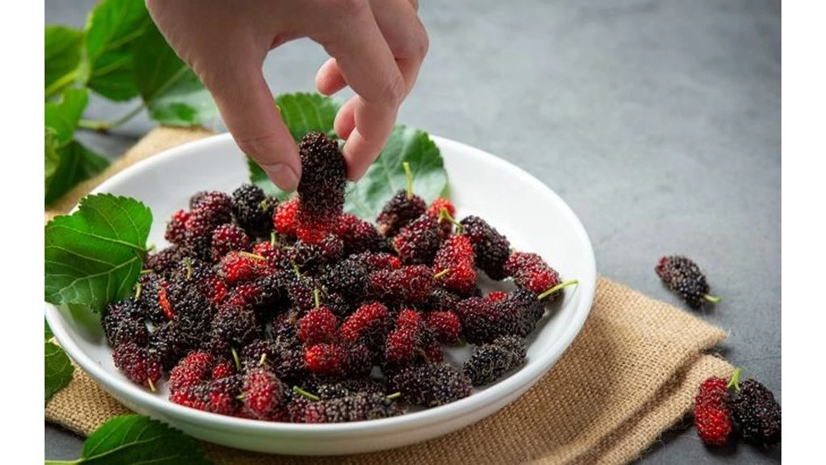 Un cardiólogo reveló un secreto: ahora añado estas bayas a mi dieta diaria después de los 50