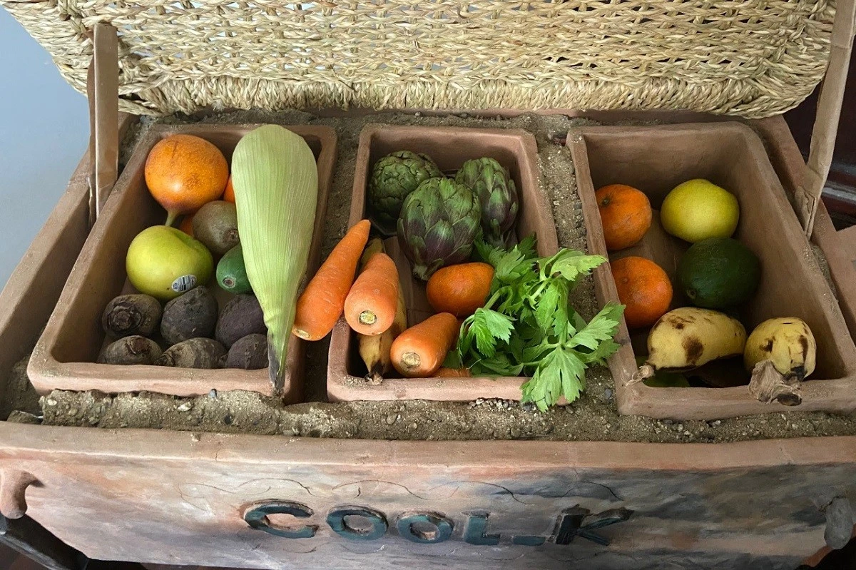 Enterramos un bidón de plástico y obtuvimos un refrigerador sin electricidad: el truco de nuestro abuelo que aprendí hace 10 años - image 1