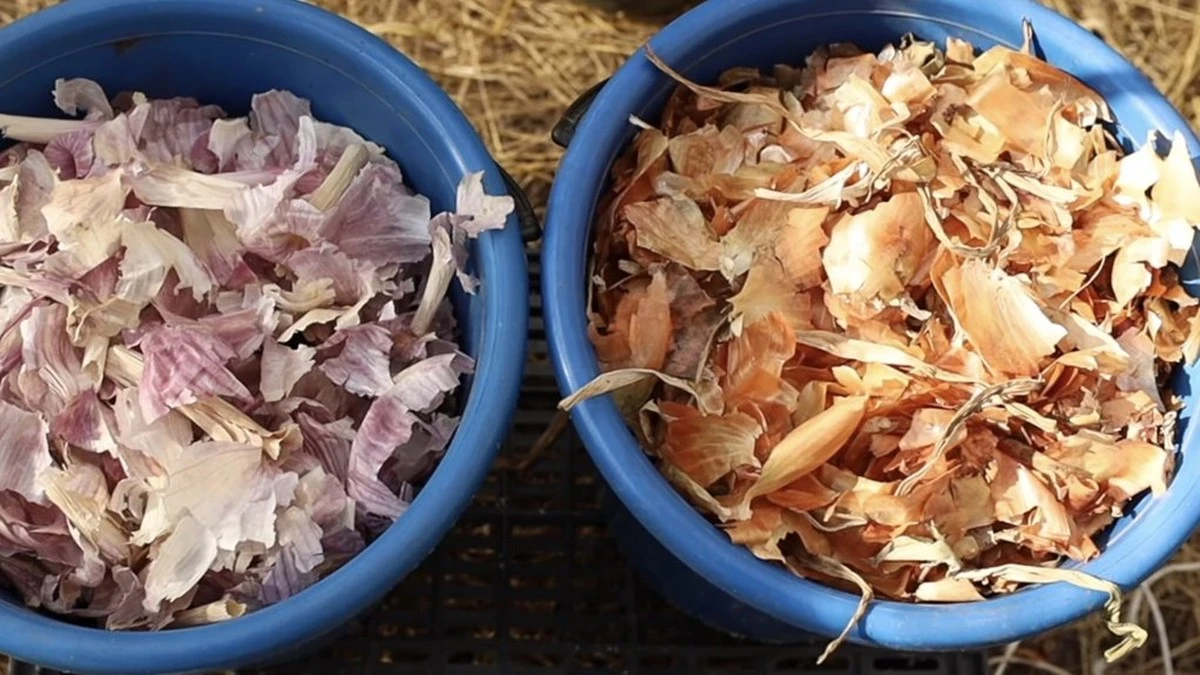 Por qué tiré el agua de pepinillos a la basura durante 20 años y lo que mi tía me enseñó