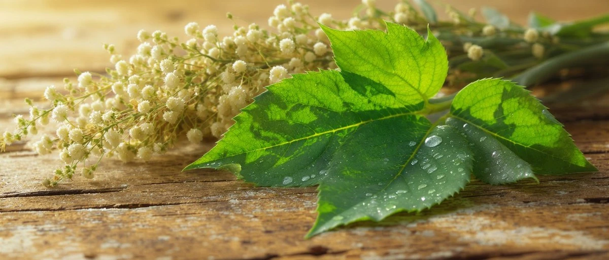 Mi madre me dio a beber una bebida extraña y me dijo que la tomara durante un mes; mis niveles de azúcar cambiaron solos