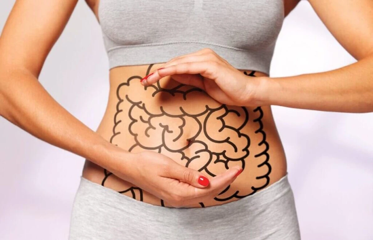 Deja las dietas extremas: 5 pasos para limpiar tu intestino sin dolor ni hambre - image 1