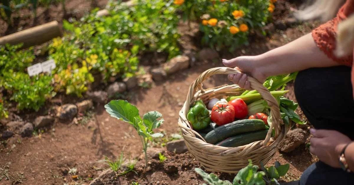porquelosexpert-extra-1.webp Por qué los expertos en jardinería añaden una cucharadita de amoniaco a su regadera - image 1