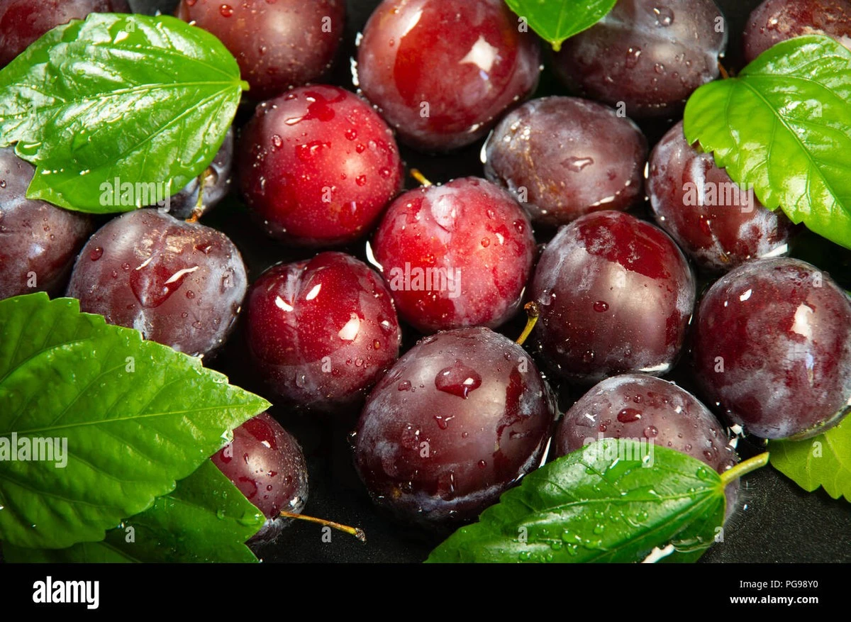 Por qué las ciruelas pueden ser un problema para tu digestión - image 1