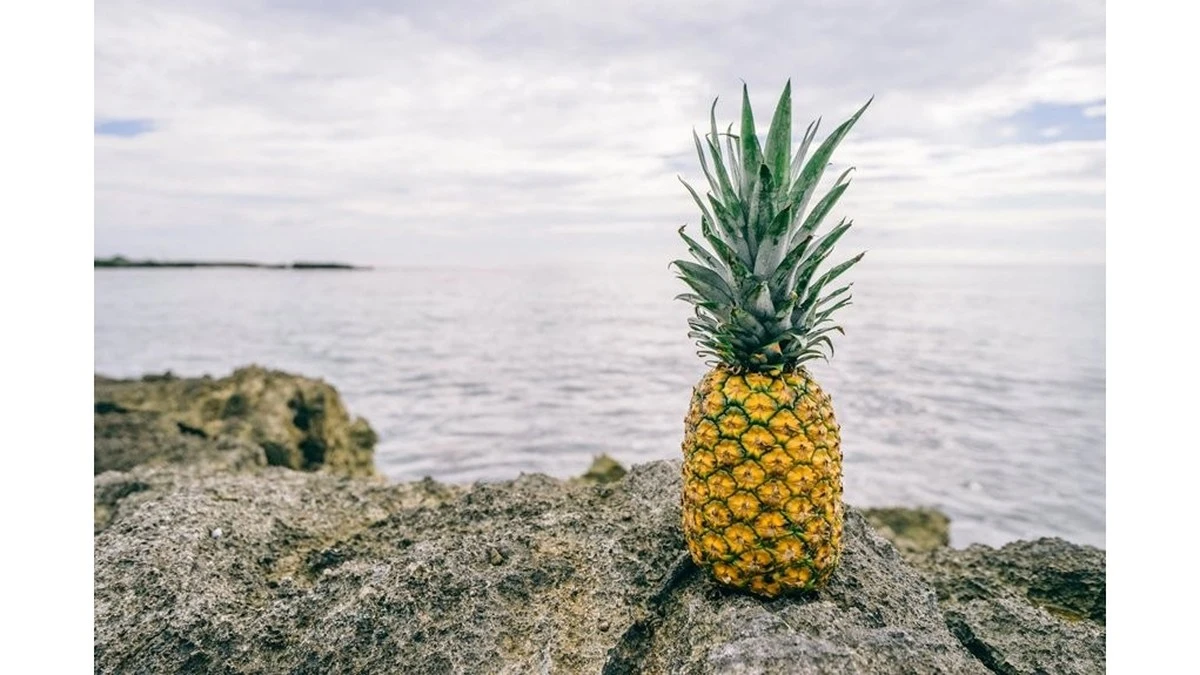 Por qué no deberías tirar la corona de la piña a la basura