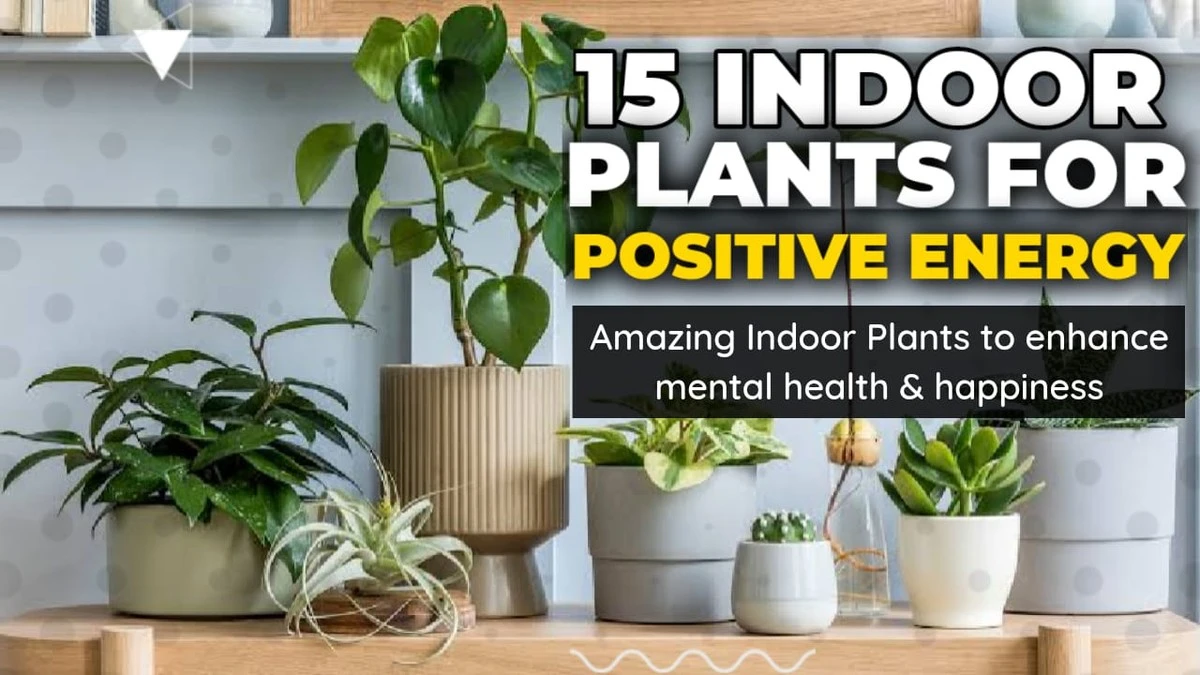 5 plantas de interior que transformarán tu hogar con energía positiva - image 1