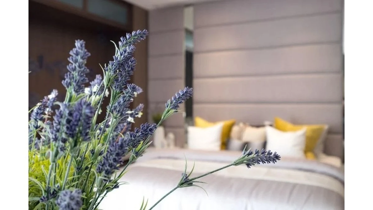 Lava: El Secreto del Feng Shui para Desterrar la Energía Negativa de Tu Hogar