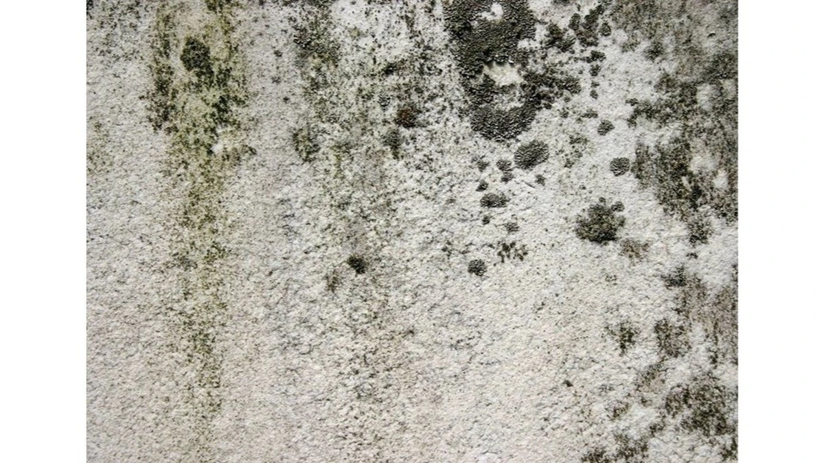 Adiós al moho negro en las juntas del baño: mi suegra me reveló el truco de 3 ingredientes