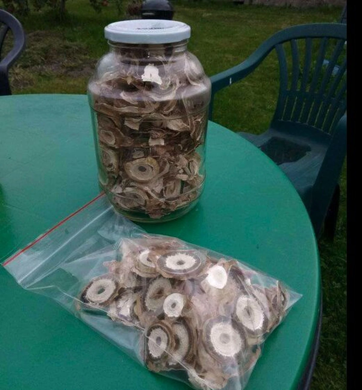 Por qué tu abuela guardaba una planta en un tarro de cristal y hoy deberías hacerlo tú también