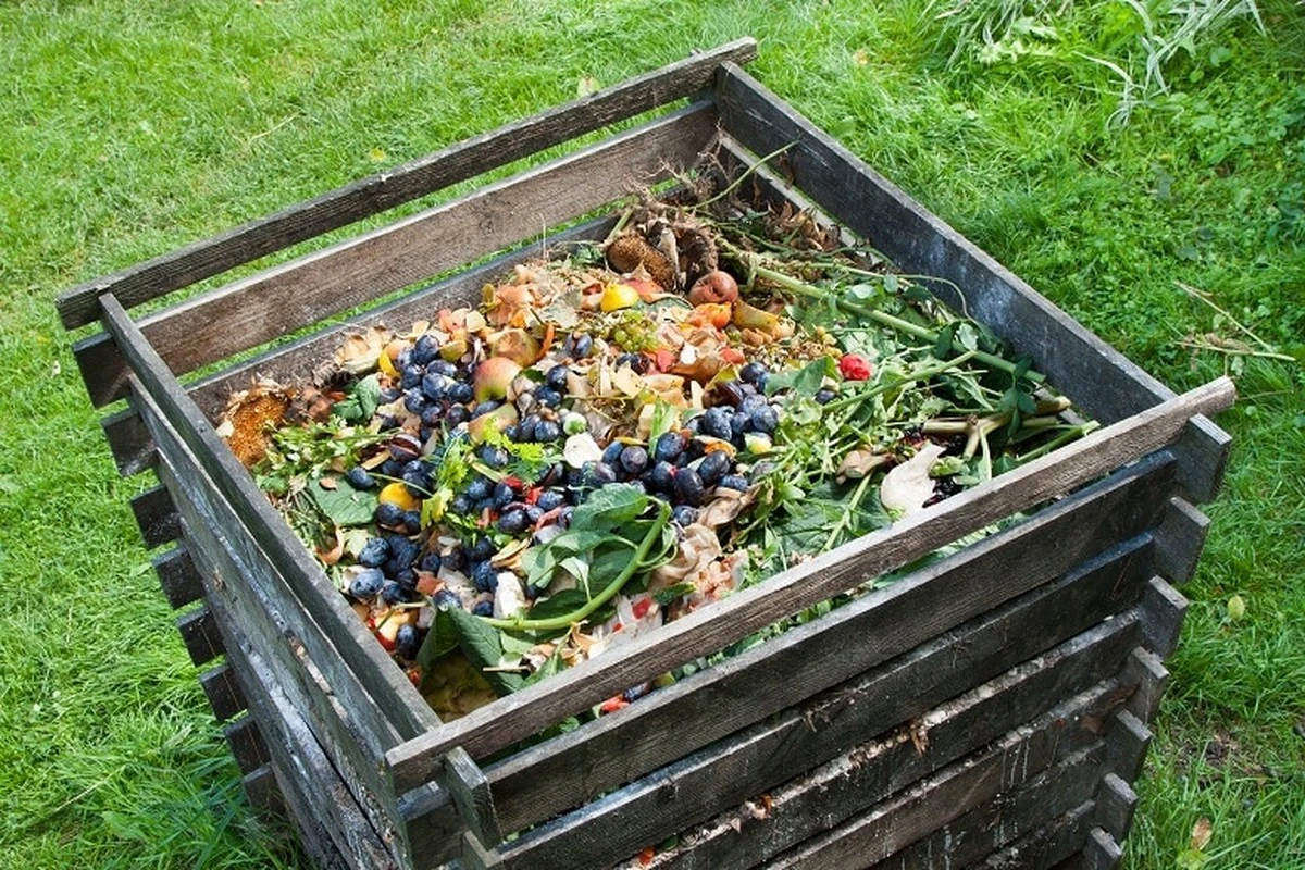Por qué los jardineros experimentados siempre añaden cáscaras de huevo a su compost - image 1