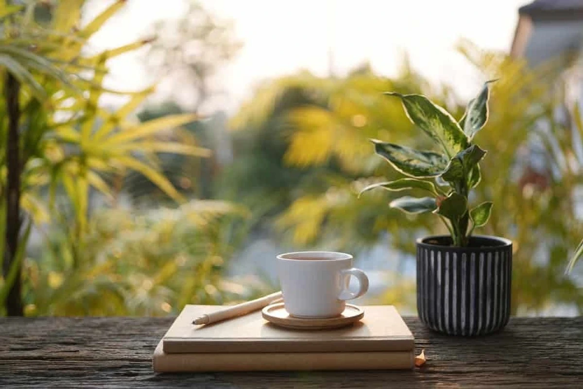 Vecina bebe esto cada mañana por 30 años y su secreto te sorprenderá - image 1