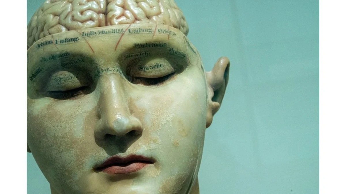 Lo que ocurre en tu cerebro durante los primeros minutos de un ictus