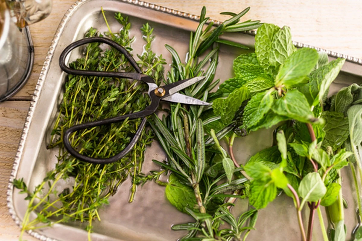 Por qué los abuelos juraban por el té de tomillo: lo probé y entendí su 'magia'