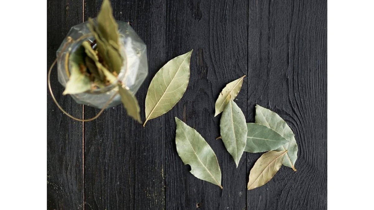 El secreto de Hungría para un hogar de ensueño: una hoja de laurel transforma el aire