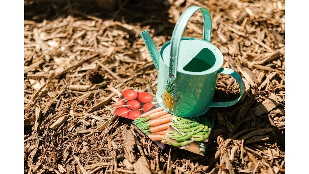 Dos gotas de alóe y ajo transforman semillas viejas: ¡germinan en días!