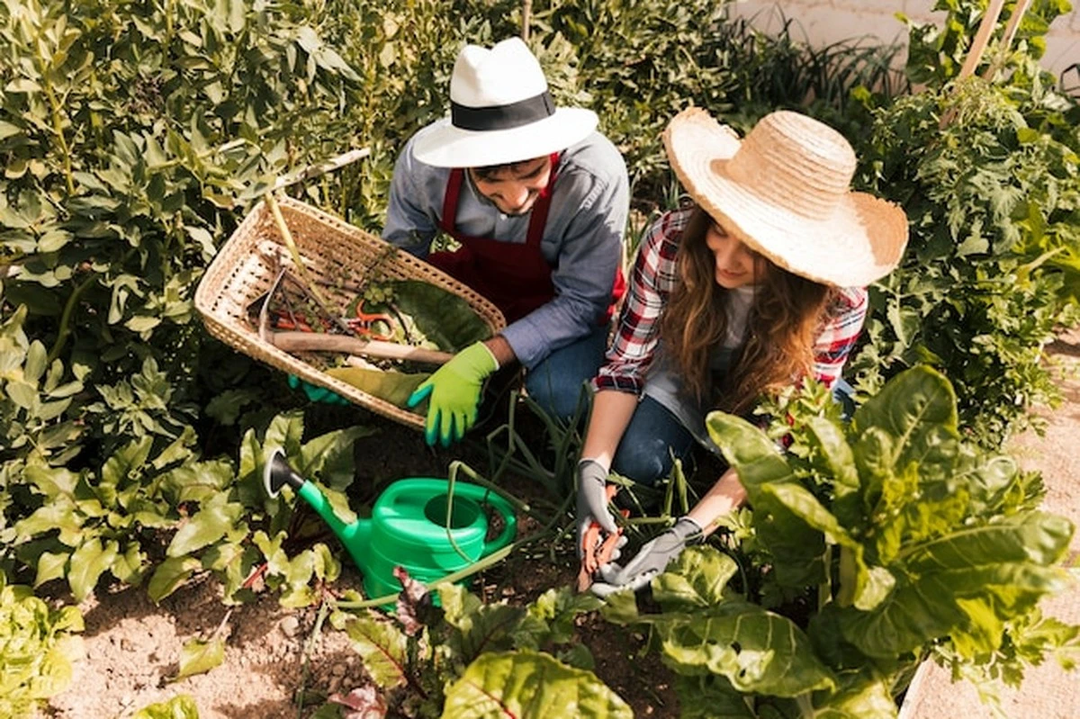 porquelosjardin-extra-1.webp Por qué los jardineros experimentados entierran cáscaras de verduras en el huerto - image 1