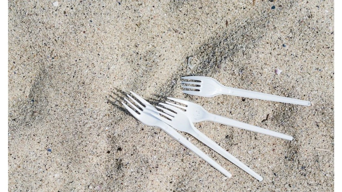 Por qué mi vecino recogía tenedores de plástico de la basura: la razón te sorprenderá