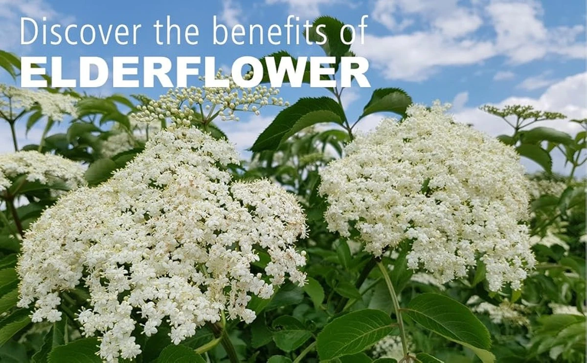 La farmacéutica me vio la compra y preguntó: 