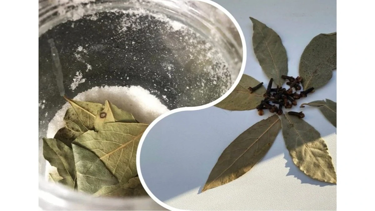 El bol con un ingrediente en mi ventana: este viejo truco cambió mi rutina