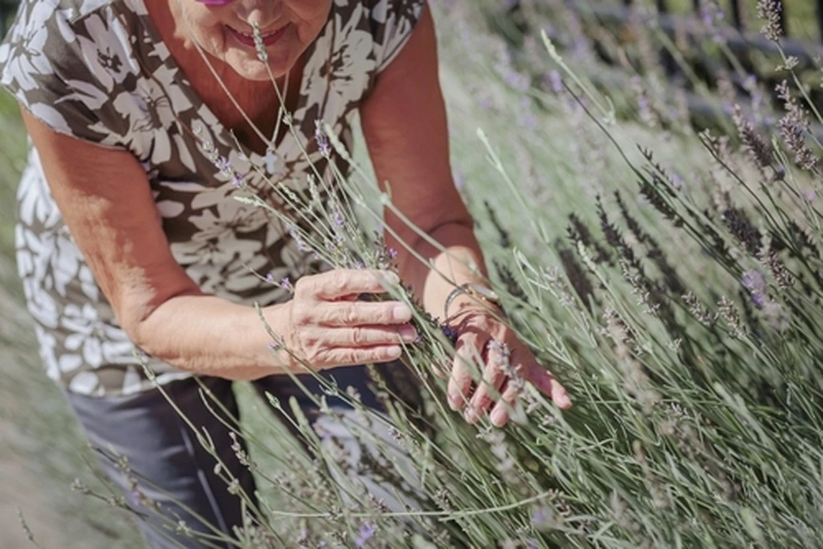 Pensé que envejecía durante cinco años, hasta que una doctora revisó mi tiroides