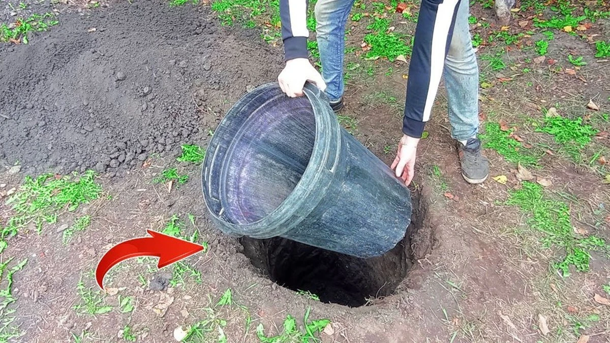 Enterramos un bidón de plástico y obtuvimos un refrigerador sin electricidad: el truco de nuestro abuelo que aprendí hace 10 años