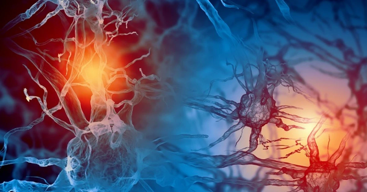 porqueestosalim-extra-1.webp Por qué estos alimentos que comes rara vez siguen arruinando tus hormonas - image 1