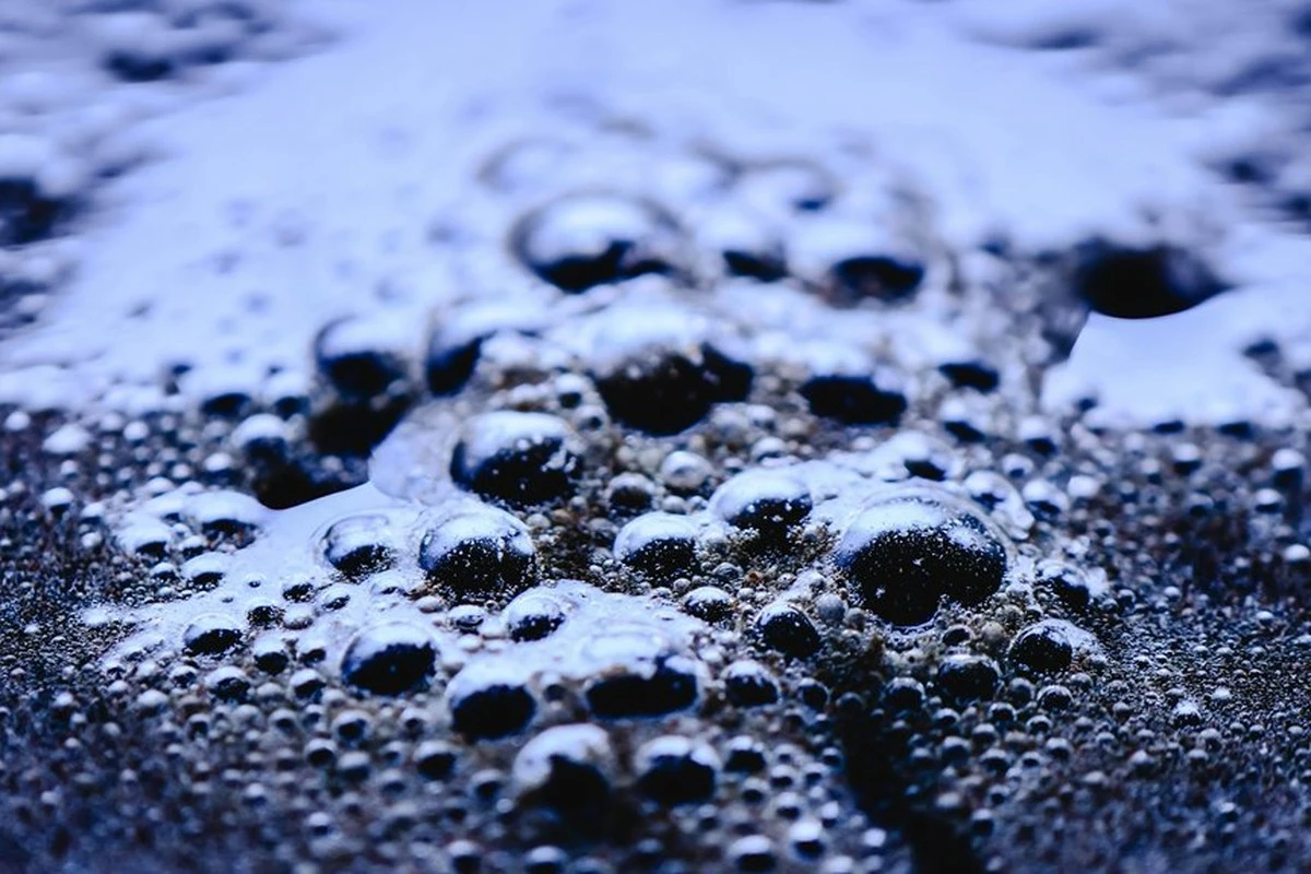 Por qué tu taza de café hace más de lo que crees: la ciencia oculta tras la cafeína