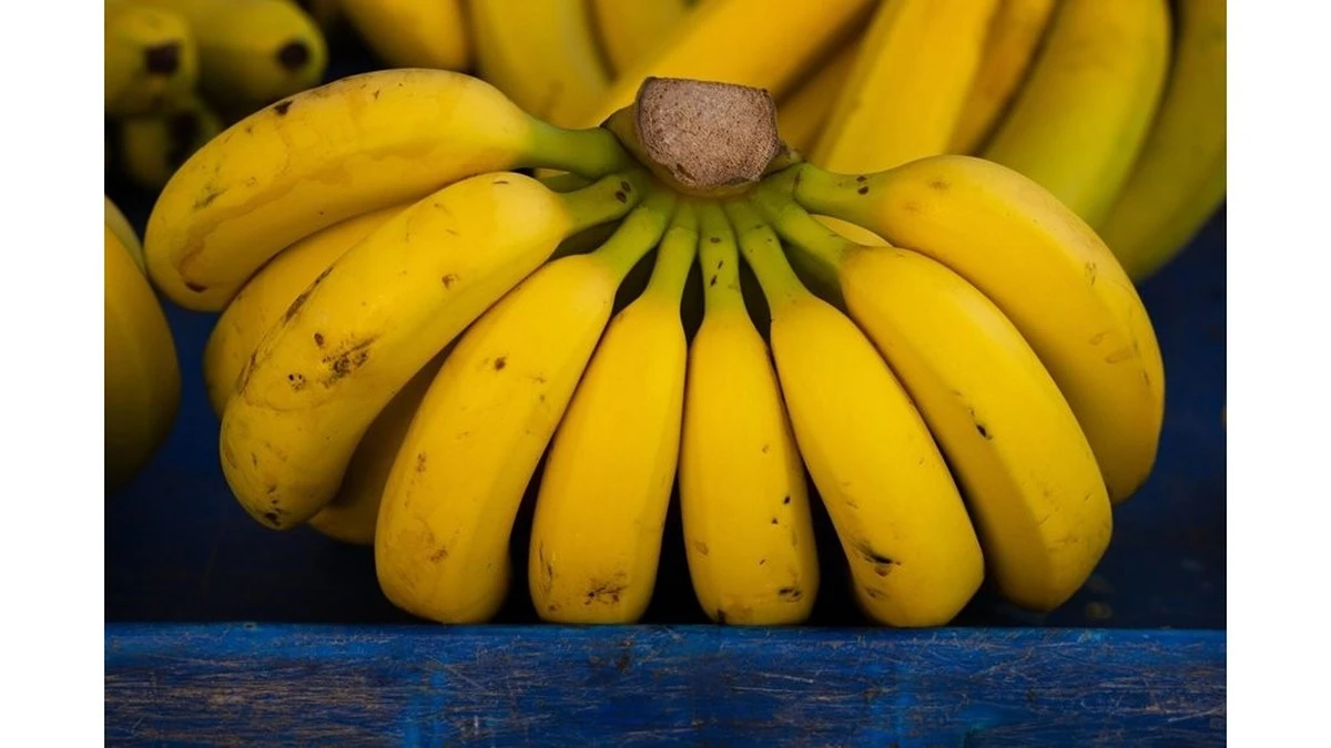 ¿Por qué los nutricionistas recomiendan no comer plátanos con el estómago vacío? La razón te sorprenderá