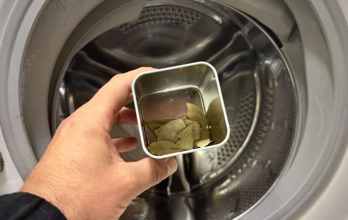 4 hojas de laurel en la lavadora: mi marido preguntó si preparaba sopa. Una semana después, dejó de hacer bromas. - image 1