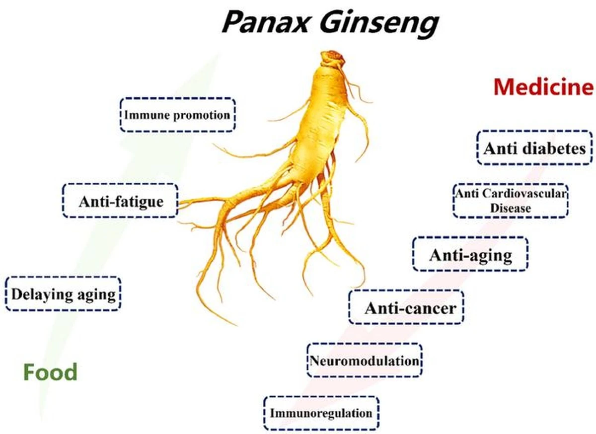 3 meses tomando ginseng: esto es lo que realmente cambió (y lo que no esperaba) - image 1