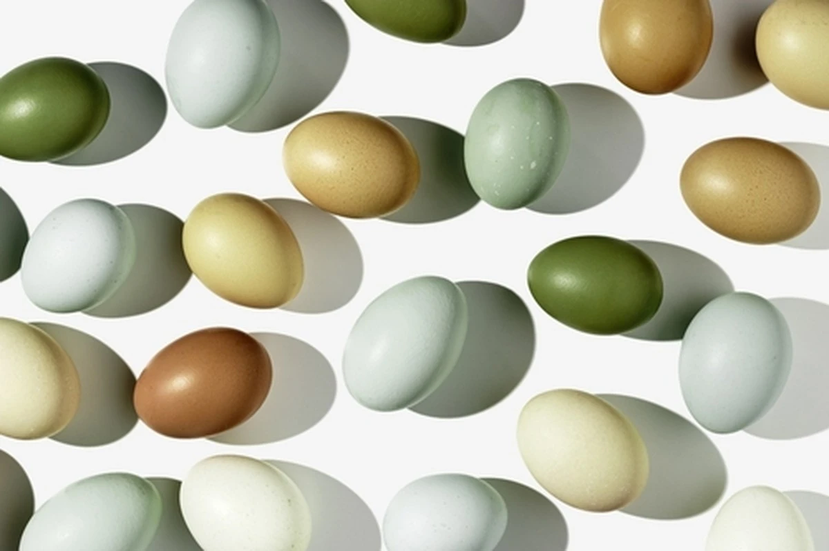 El vinagre: el secreto detrás de los huevos de Pascua vibrantes de mi abuela