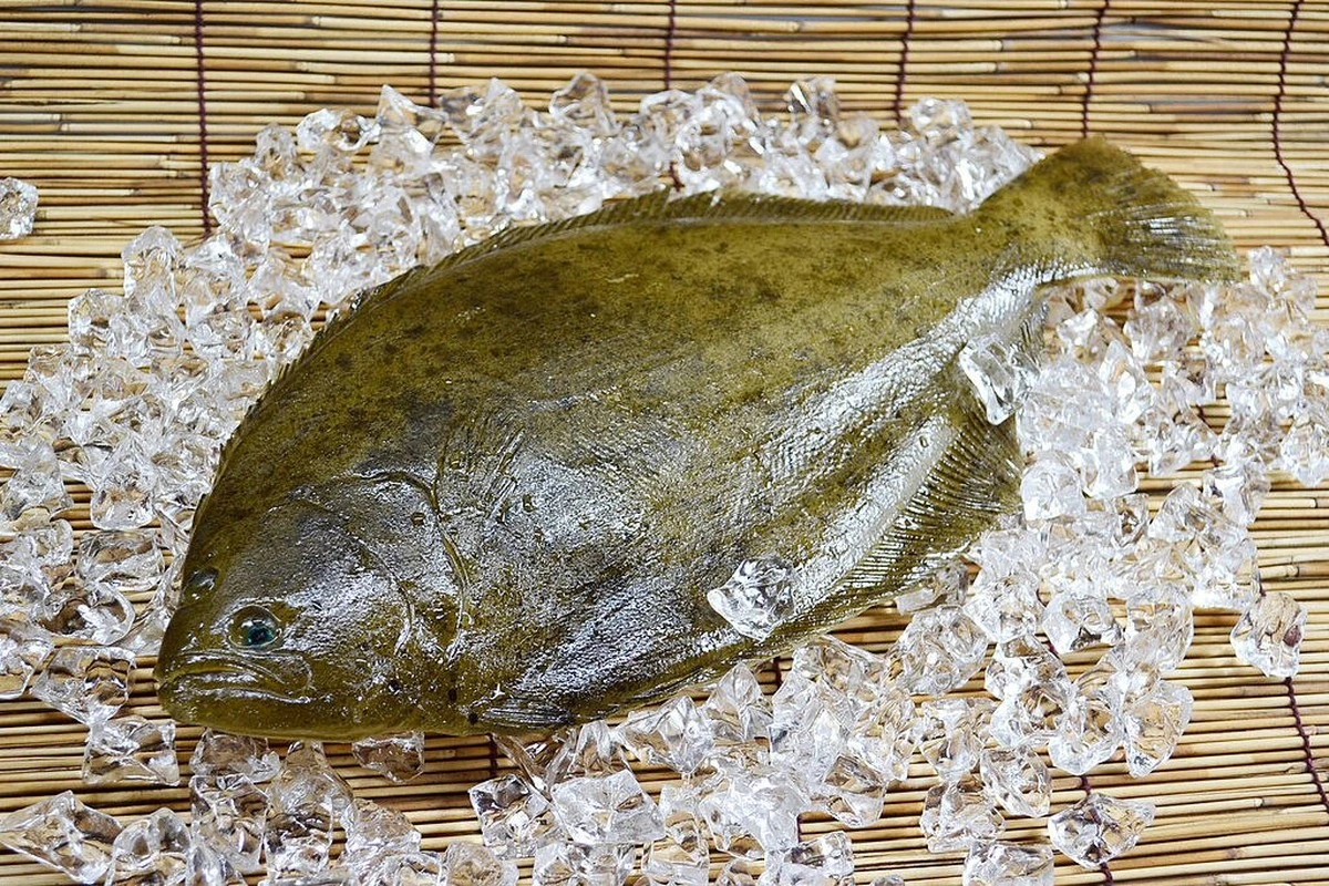 porqueellenguad-extra-1.webp Por qué el lenguado es el pescado olvidado que deberías volver a poner en tu mesa - image 1