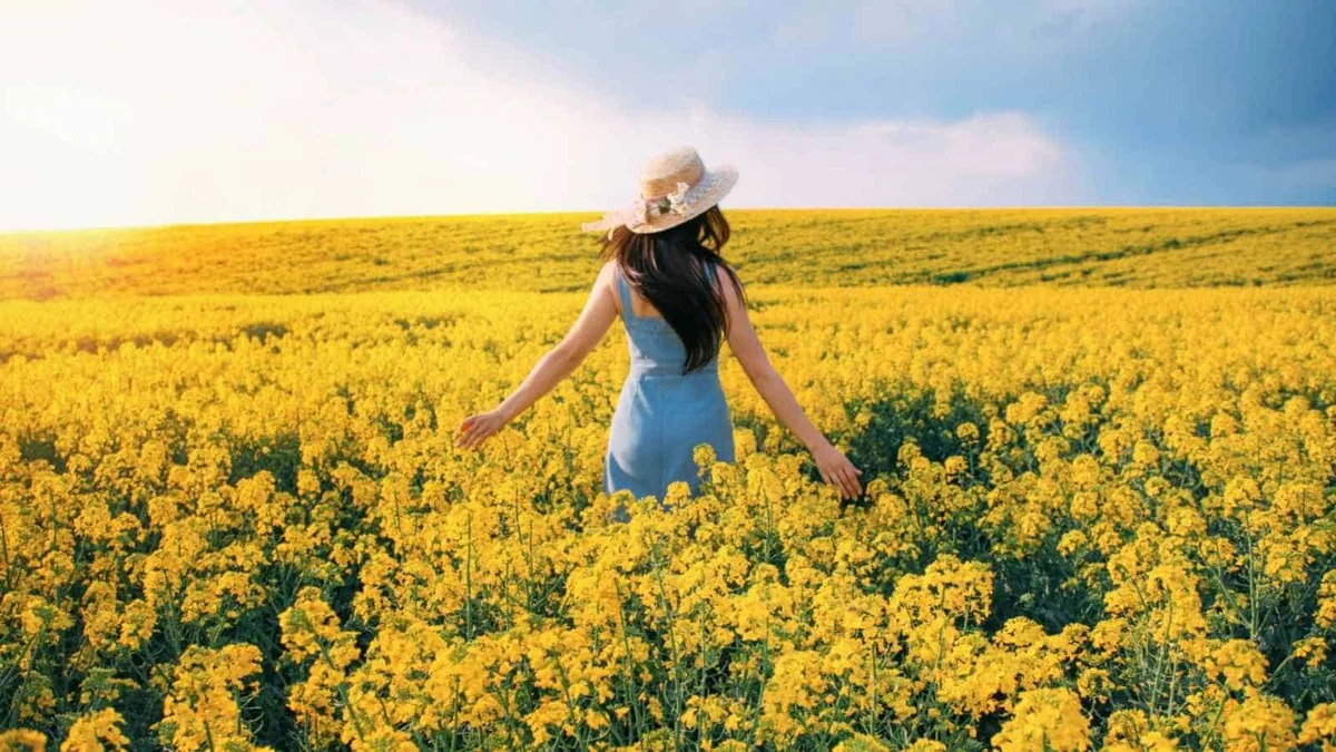 Este único arbusto amarillo alegra mi jardín de mayo a octubre, superando a petunias y caléndulas - image 1