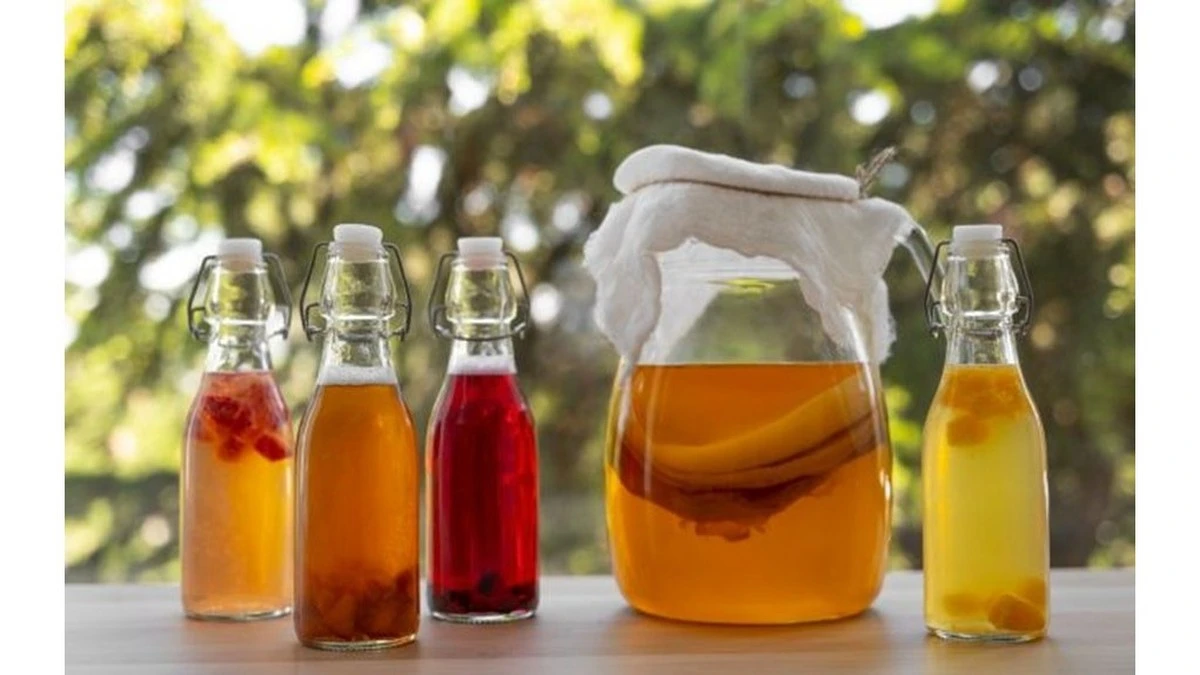 ¿Quién NO debería beber kombucha? Descubre si estás en la lista