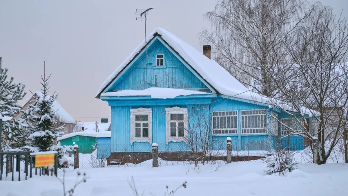 Por qué sembrar en enero es un error común (y cuándo hacerlo realmente)